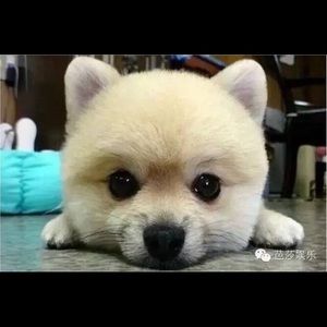 Meet your Posher, March